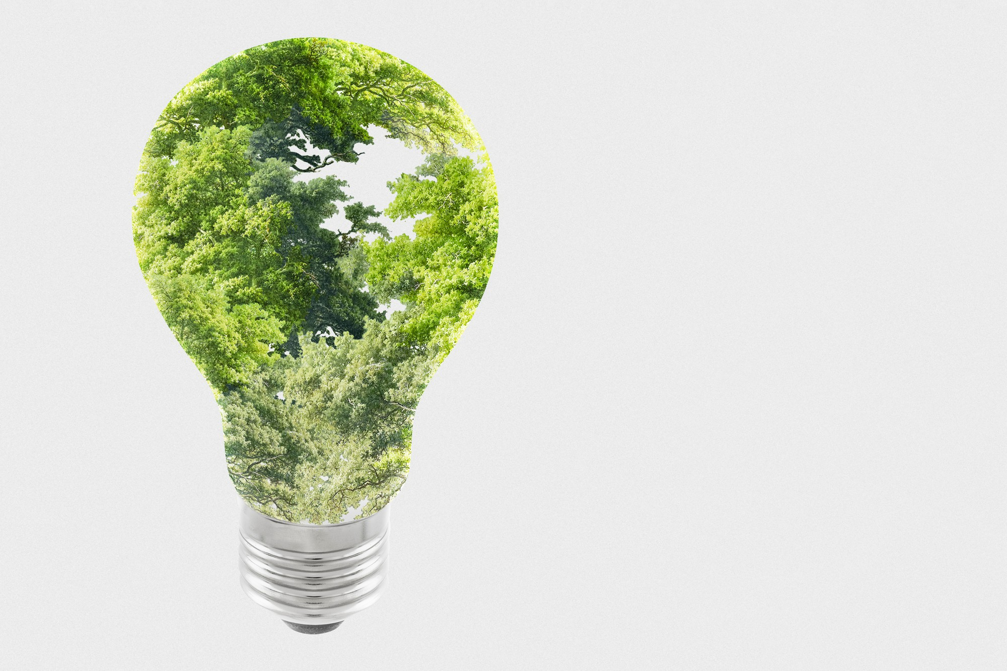 gestión ambiental
